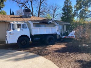 Dump truck bobcat Parker Construction services