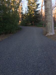 Graded and leveled gravel road winding through trees in chico, ca